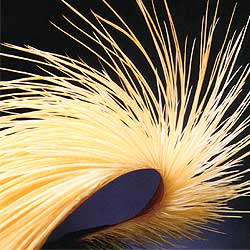 Fly fishing and Fly tying - Lakeland Fly-Tying