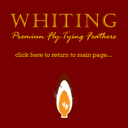 ++ click here to return to the main Whiting page ++