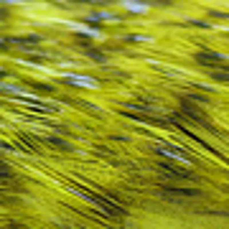 FI Yellow