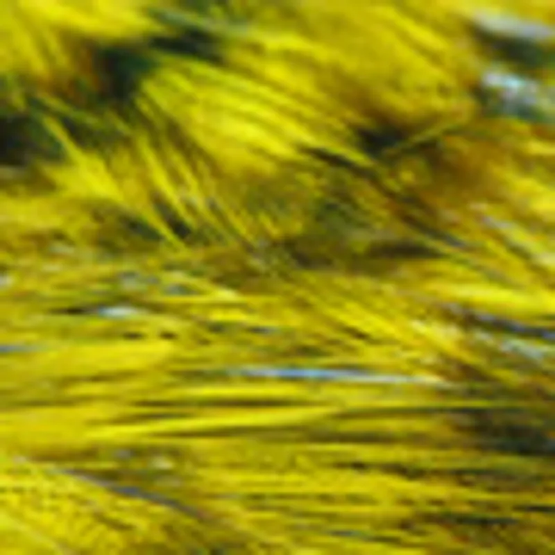 Grizzly Yellow