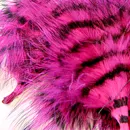 Barred Blood Marabou