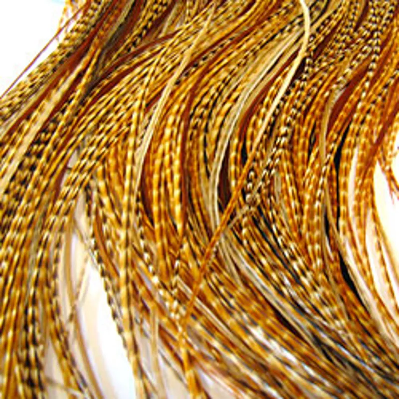 Whiting Select Tier's Grade Dark Barred Ginger Saddle