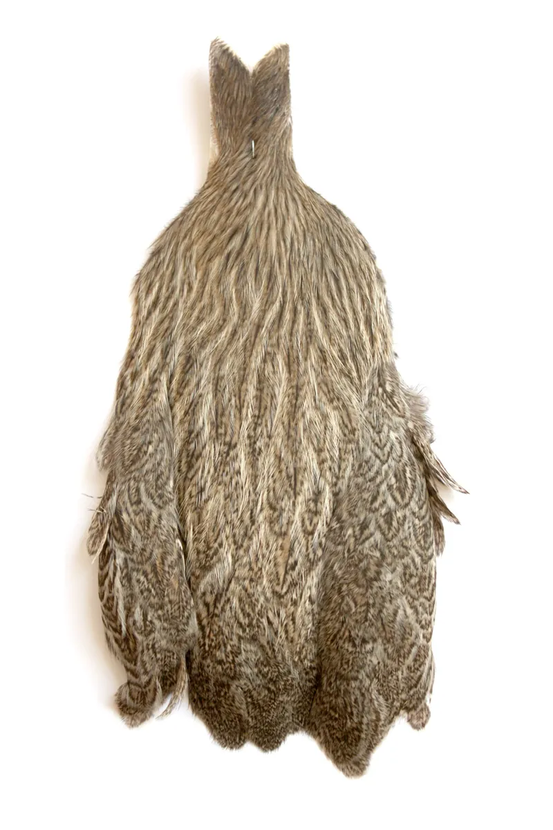 Whiting Coq de Leon Hen Neck