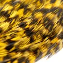 Lakeland  Grizzly Rooster Cape