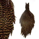 Lakeland Grizzly Hen Capes