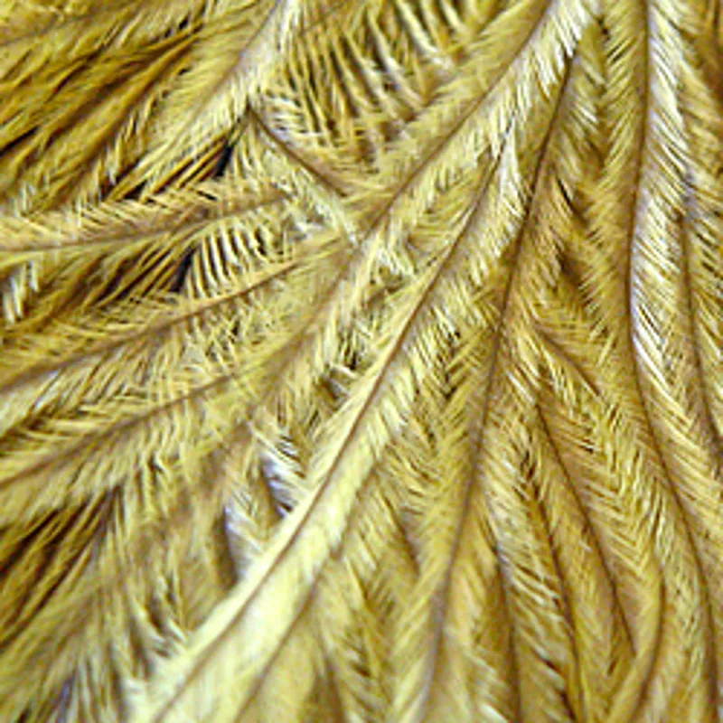 Lakeland Mini Plus Ostrich Plumes