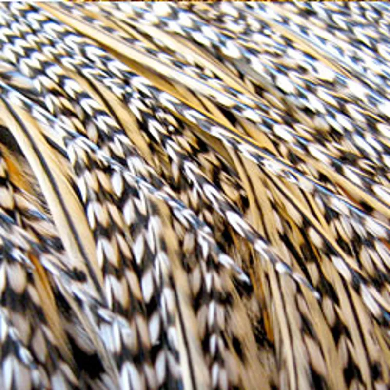 Whiting Select.Bronze Grade Rooster Cape Grizzly/ Golden Badger
