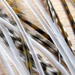 Whiting 100s Saddle Hackle Packs. Whiting 100’s Saddle 14 Gri