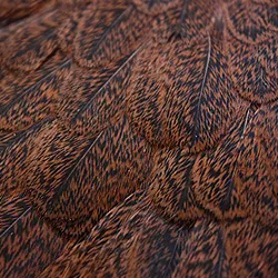 Whiting Brahma Hen Saddle. These are absolutely beautiful, very soft and very Gamebirdie. 
