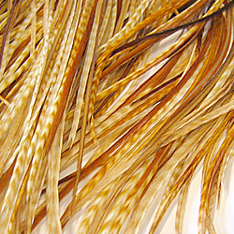 Whiting Select Medium Barred Ginger/Medium Ginger Saddle