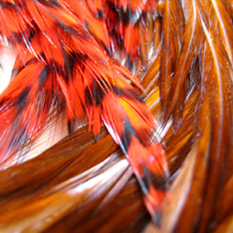 Whiting Woolly Bugger Packs