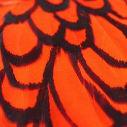 Whiting American Hen Saddle. Orange