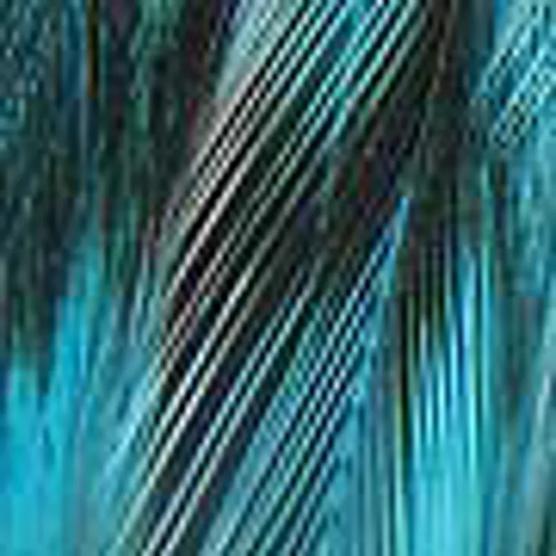Grizzly Silver Dr. Blue