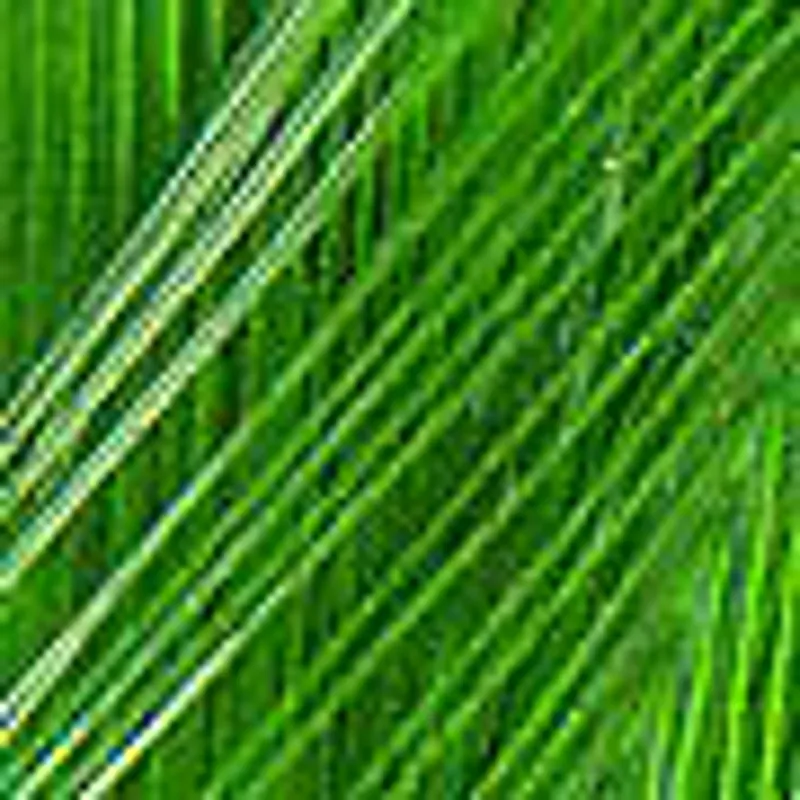 Highlander Green
