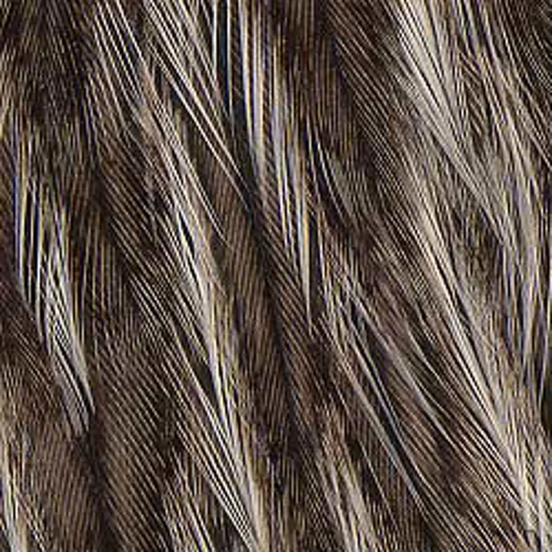 Brown Speckled