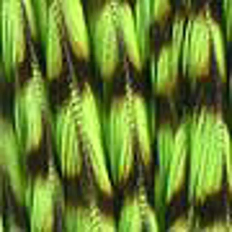 Grizzly Insect Green