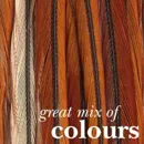Whiting Genetic Saddle Bronze Grade
