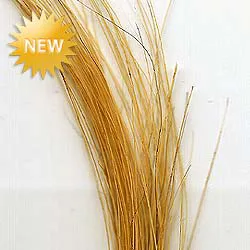 Virtual Nymph Porcupine Guard Hairs. VN Porcupine Guard Hairs