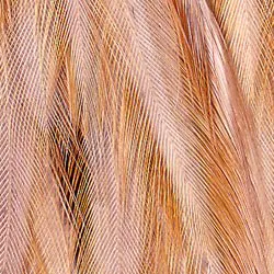 Whiting Hen Neck. Whiting Hen Neck -DBLK
