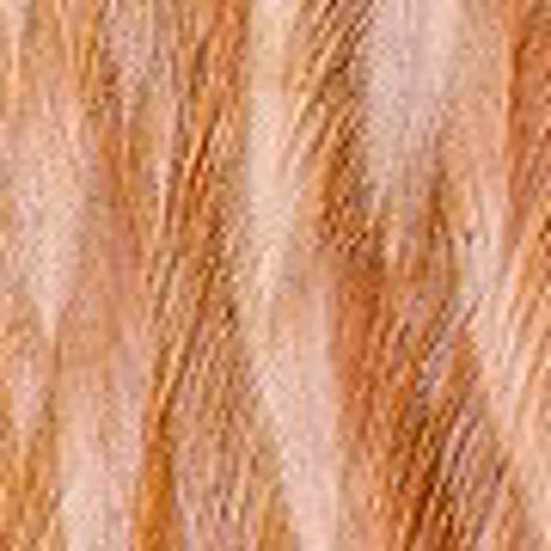 Medium Ginger