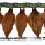 Whiting Hebert Miner Hen Cape in Barred Dark Ginger