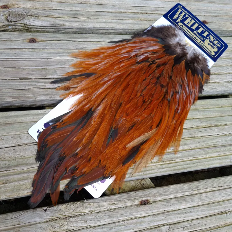 Whiting American Rooster Saddle in Brown-1