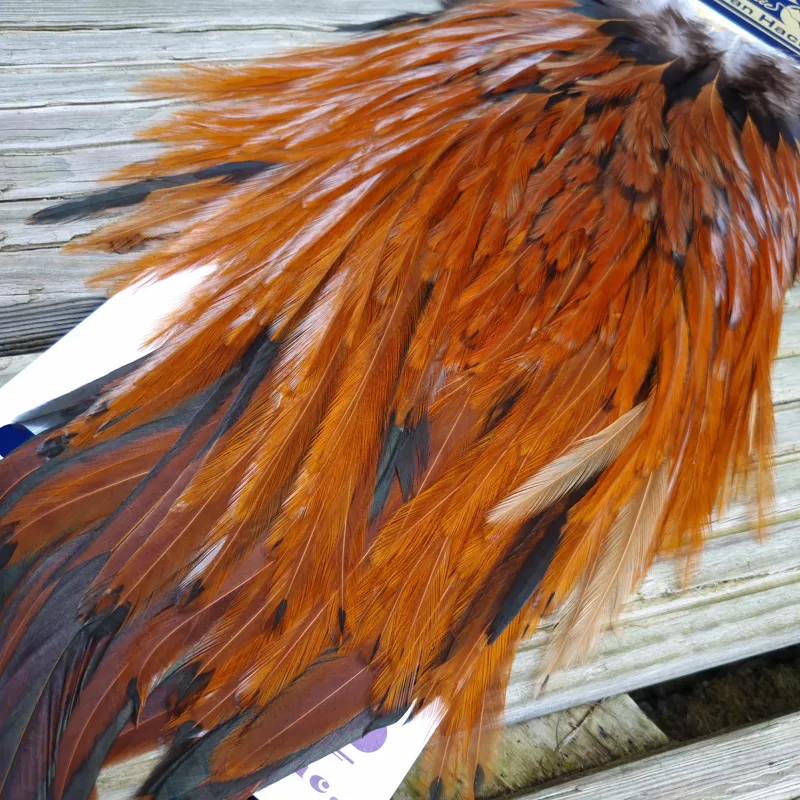 Whiting American Rooster Saddle in Brown-4