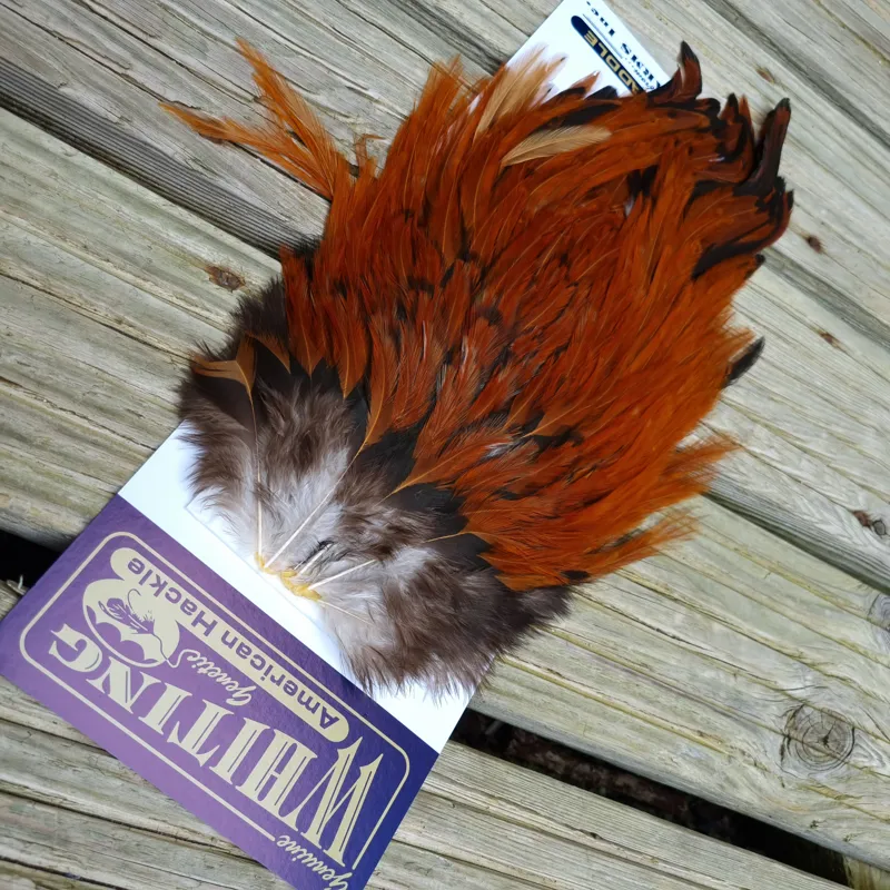 Whiting American Rooster Saddle in Brown-2