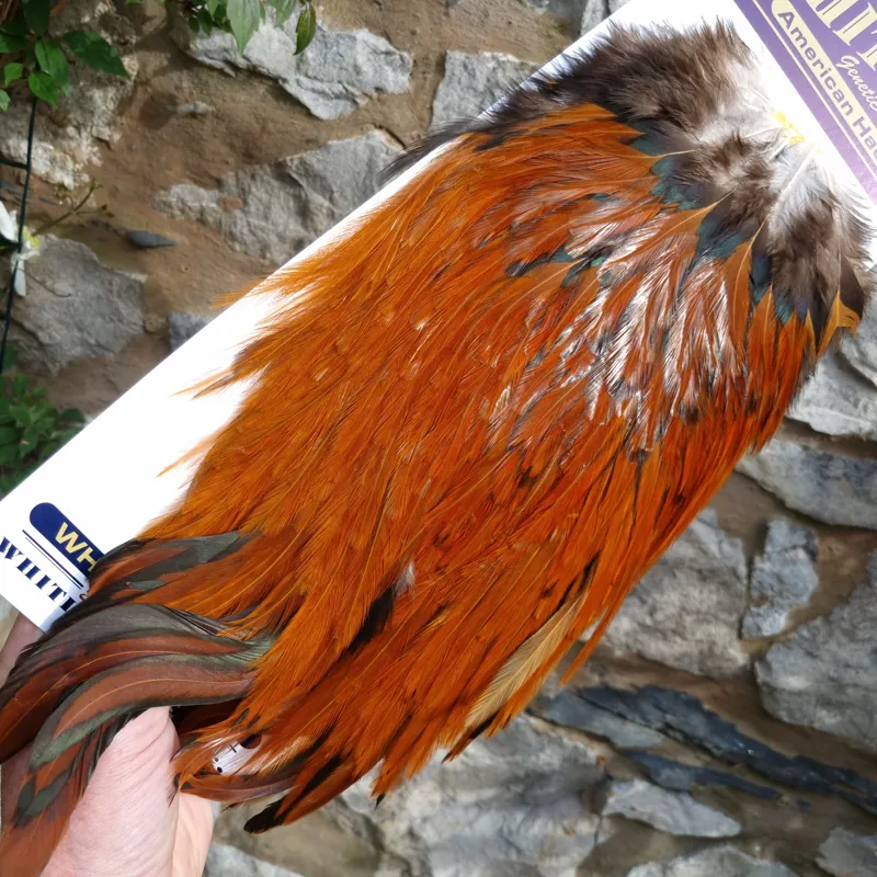 Whiting American Rooster Saddle in Brown-3