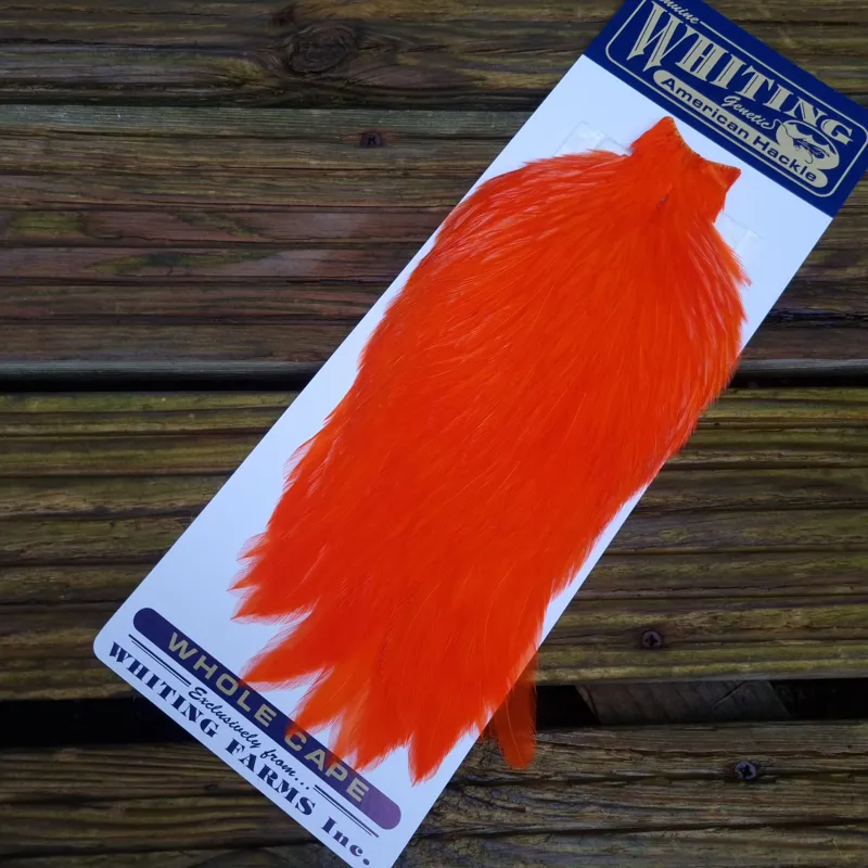 Whiting American Rooster Cape in Orange-7