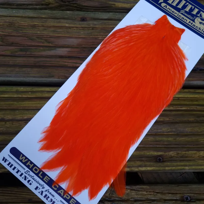 Whiting American Rooster Cape in Orange-2