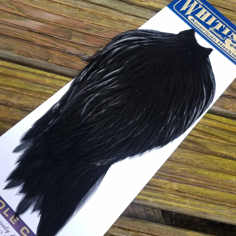 Whiting American Rooster Cape in  Black-6