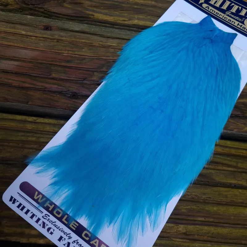 Whiting American Rooster Cape in  Silver Dr.Blue