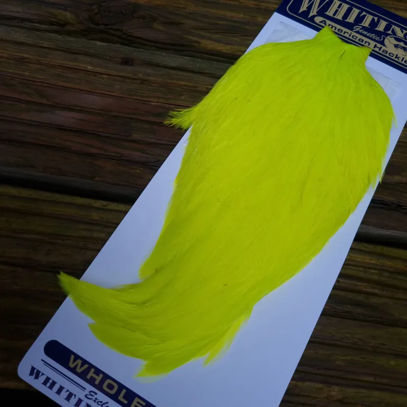 Whiting American Rooster Cape in Fl. Yellow Chartreuse-5