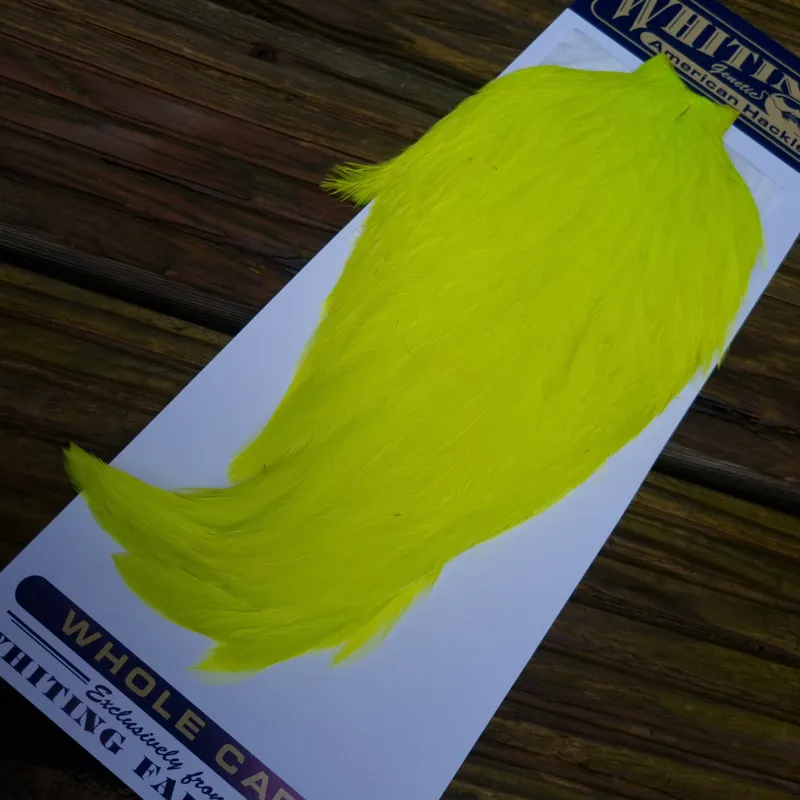 Whiting American Rooster Cape in Fl. Yellow Chartreuse-3