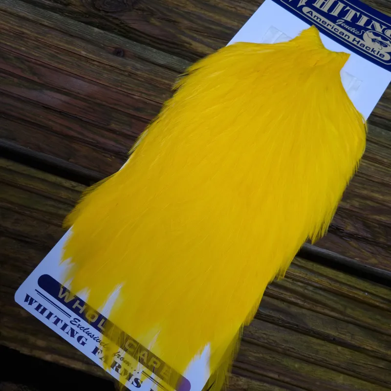 Whiting American Rooster Cape in  Yellow-6