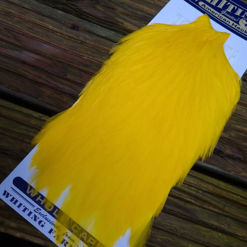 Whiting American Rooster Cape in  Yellow-4