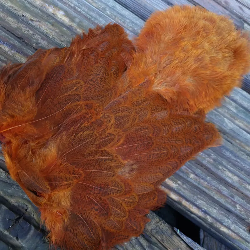 Whiting Brahma Hen Soft Hackle with Chickabou in Mottled Burnt Orange C-4