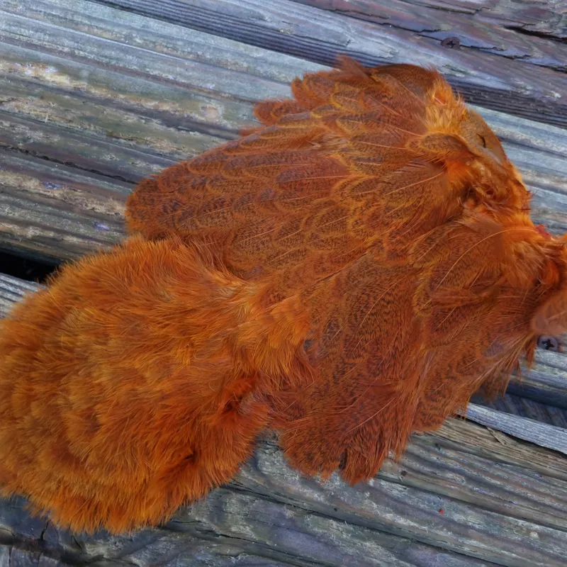 Whiting Brahma Hen Soft Hackle with Chickabou in Mottled Burnt Orange C-2