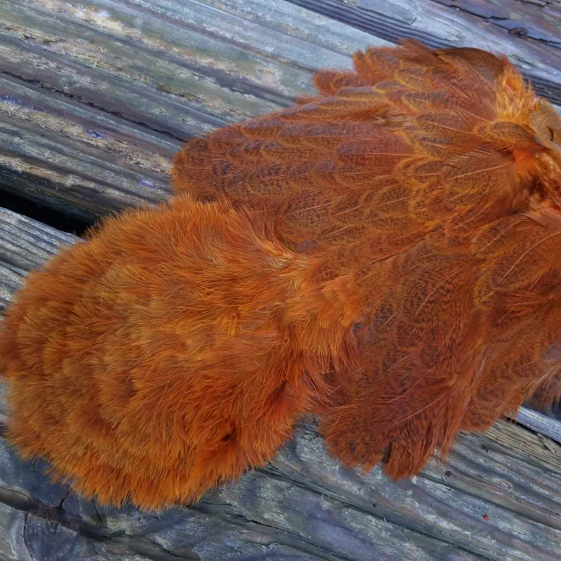 Whiting Brahma Hen Soft Hackle with Chickabou in Mottled Burnt Orange C