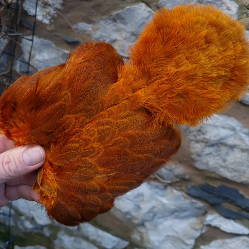 Whiting Brahma Hen Soft Hackle with Chickabou in Mottled Burnt Orange C-1