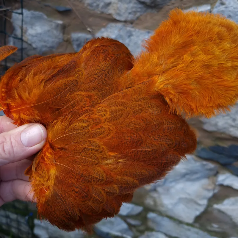 Whiting Brahma Hen Soft Hackle with Chickabou in Mottled Burnt Orange C-3