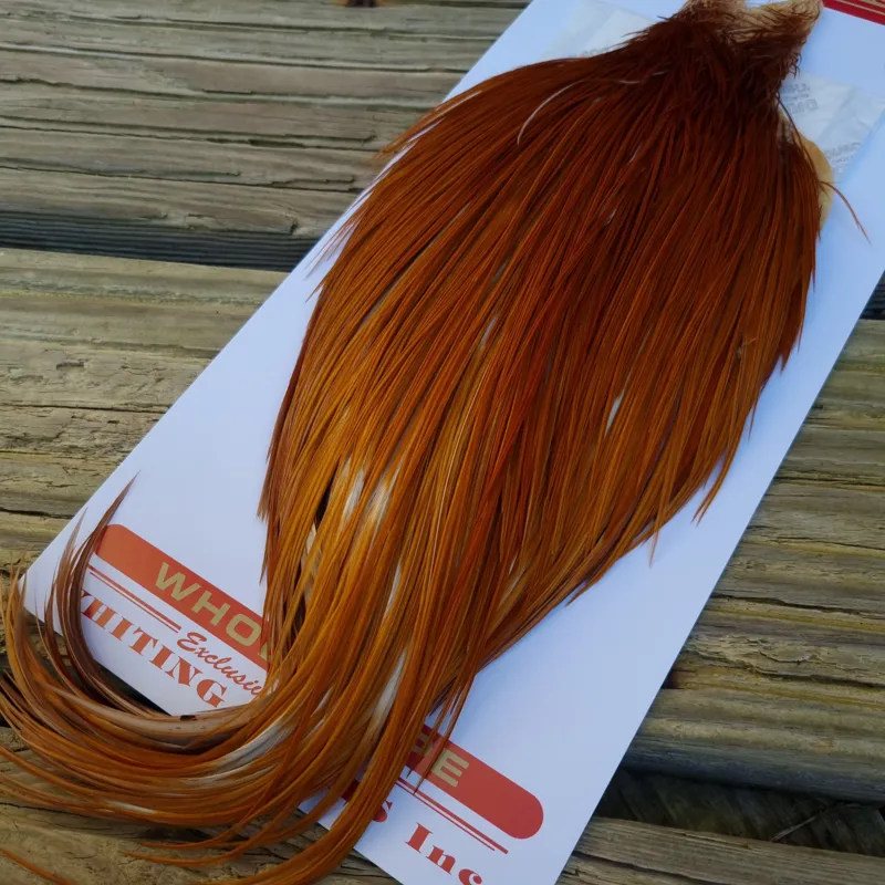 Whiting Bronze Grade Dry Fly Rooster Cape in Medium Ginger A-1
