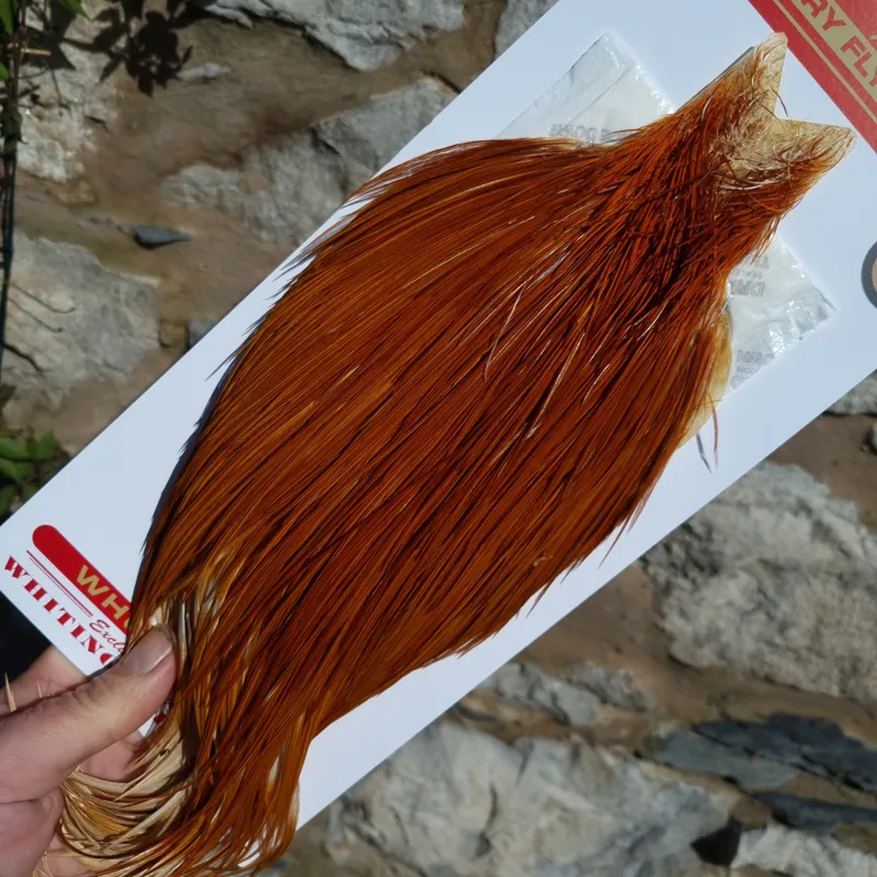 Whiting Bronze Grade Dry Fly Rooster Cape in Medium Ginger A-2