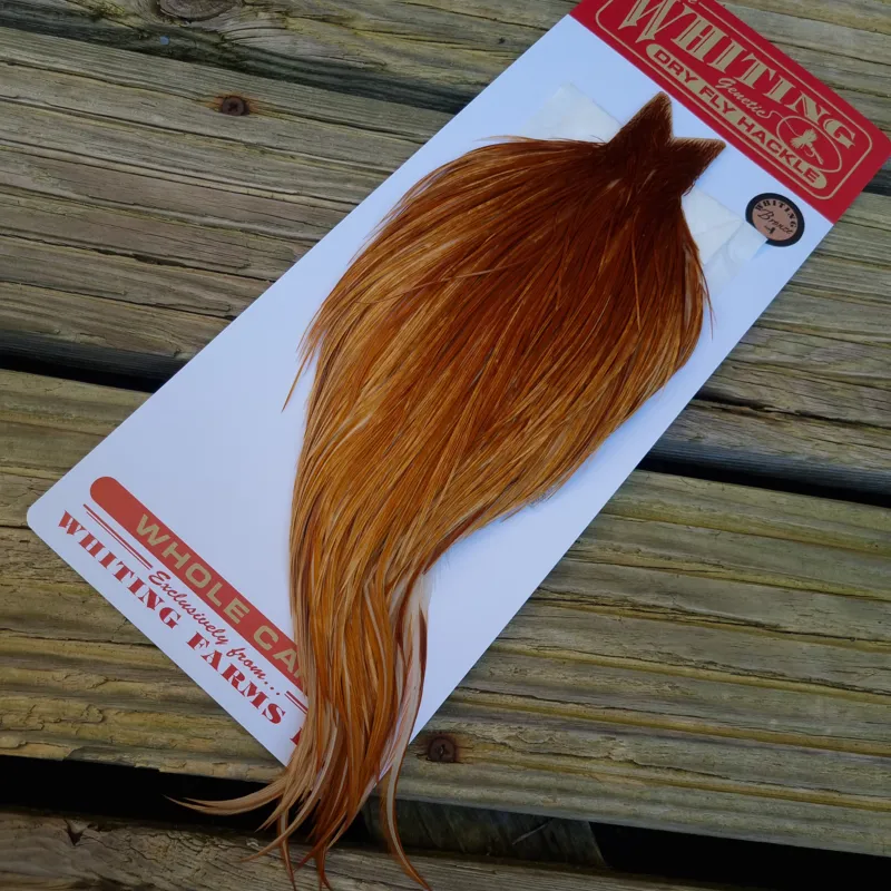 Whiting Bronze Grade Dry Fly Rooster Cape in Medium Ginger B
