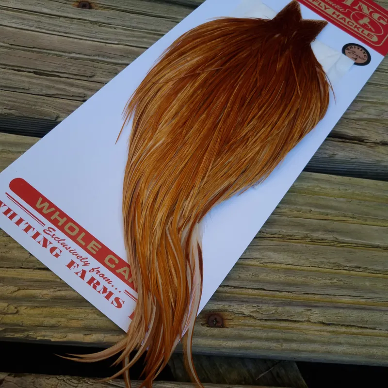 Whiting Bronze Grade Dry Fly Rooster Cape in Medium Ginger B-1