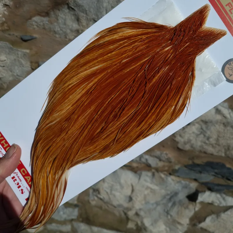 Whiting Bronze Grade Dry Fly Rooster Cape in Medium Ginger B-2