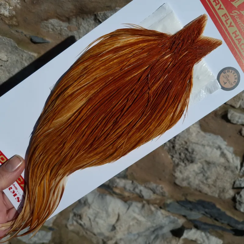Whiting Bronze Grade Dry Fly Rooster Cape in Medium Ginger B-3