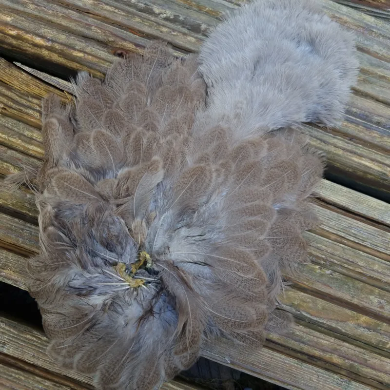 Whiting Brahma Hen Soft Hackle with Chickabou in Mottled Light Dun C-1