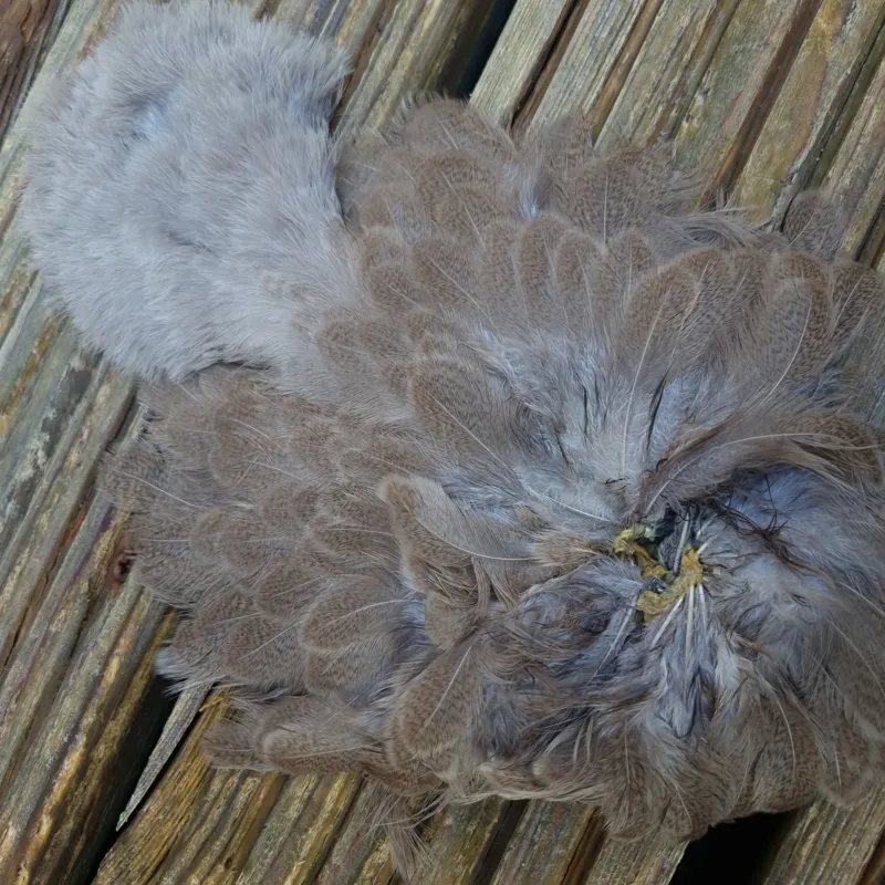 Whiting Brahma Hen Soft Hackle with Chickabou in Mottled Light Dun C-5